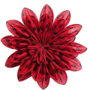 Image of Volver