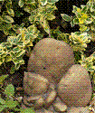 Image of Covert Stone