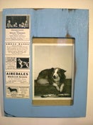 Image of Woof-Woof Picture Frame