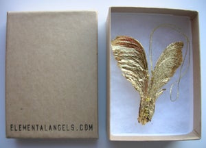 Image of celestial seed wings