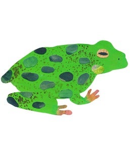 Image of Frog Original Art