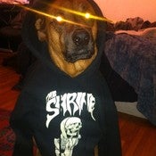 Image of Reaper T-Shirt and Hoodie Sweatshirt