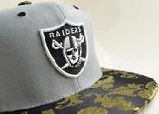 Image of Raider Kings