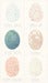 Image of BIRD EGGS OF AUSTRALIA