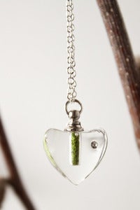 Image of Crystal Heart Terrarium Necklace