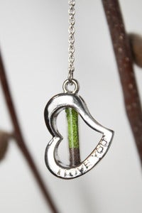 Image of "I Love You" Heart Terrarium Necklace