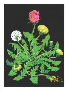 Image of "Bloom" Art Print