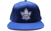 Image of CHRONICS LEAFS HAT (Royal)