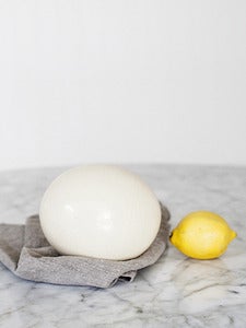 Image of Old Ostrich Egg