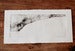 Image of gravure~ {*} #1/1• etching~ {*} #1/1