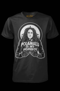 Image of Polamalu Is My Homeboy