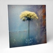 Image of Soosh - Colour is Breathe