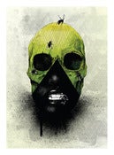 EVE A3 SKULL PRINT