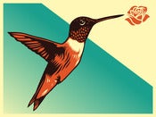 Image of Dignity Colibri / Hummingbird