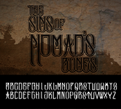 Image of THE SINS OF NOMADS BONES