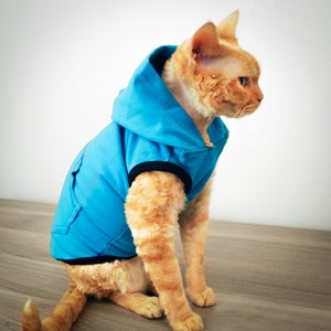 Image of Devon Hoodie - Ocean Breeze<br>(Light Weight)