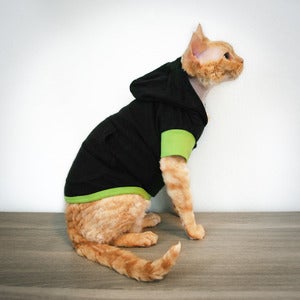 Image of Rex Hoodie - Midori Sour<br>(Heavy Weight)