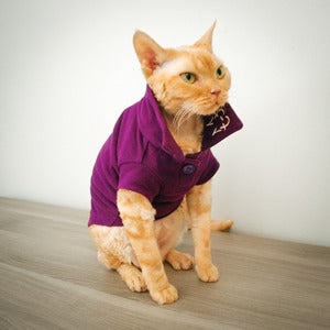 Image of Wesley Polo - Plumberry<br>(Light Weight)