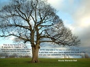 Image of the tree - with words
