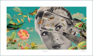 Image of Set them free