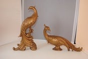 Image of Pair of Large Gold Pheasants