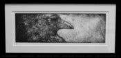 Image of SOLD OUT - An Unkindness