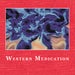 Image of Western Medication - The Painted World 7" 