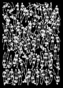 Image of Esquelettes