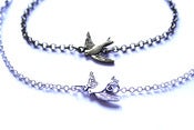 Image of Swallow