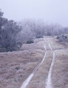Image of "Hill Country Winter" - Signed Canvas Giclee'