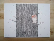 Image of Tree