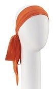 Image of COQUETTE Hair-tie
