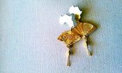 Image of Mélange Studs 