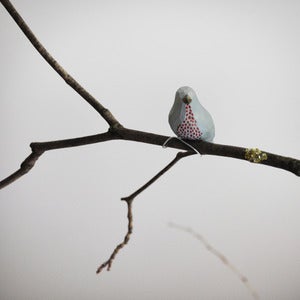 Image of Winter Bird