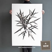 Image of Ninja - A1