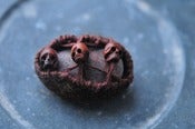 Image of little brown watchers - hol(e)y stone