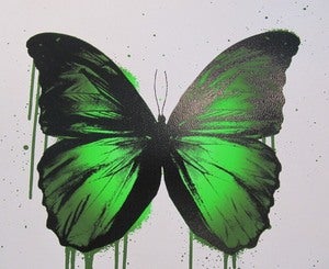 Image of "Green Butterfly" AP by RYCA