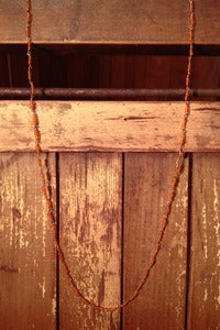 Image of Four Seasons, Fall: Spring '13