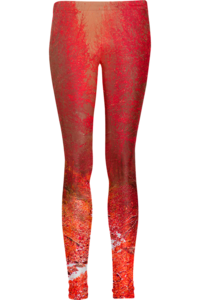 Image of Fall leggings 
