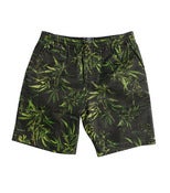 Image of Grand Scheme - Maui Wowie Beach Shorts