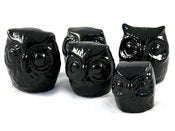Image of Black Owl Family by Pirdy