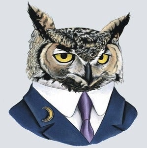 Image of Horned Owl Print 8x10