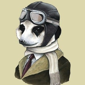 Image of Meerkat Print 5x7
