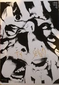 Image of TY Segall