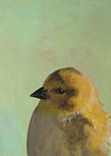 Image of Fictional Yellow Bird by The Mincing Mockingbird