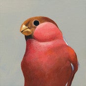 Image of Bullfinch Panel by The Mincing Mockingbird