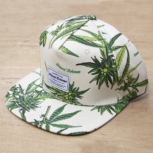 Image of Grand Scheme- Maui wowie snapback natural