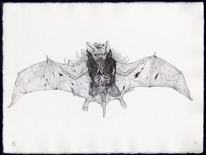 Image of Bat