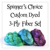 Image of Spinner's Choice Custom Dyed 3-Ply Fiber Sets - 6 oz. BFL/Tussah Silk