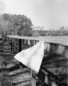 Image of Cloth on Fence